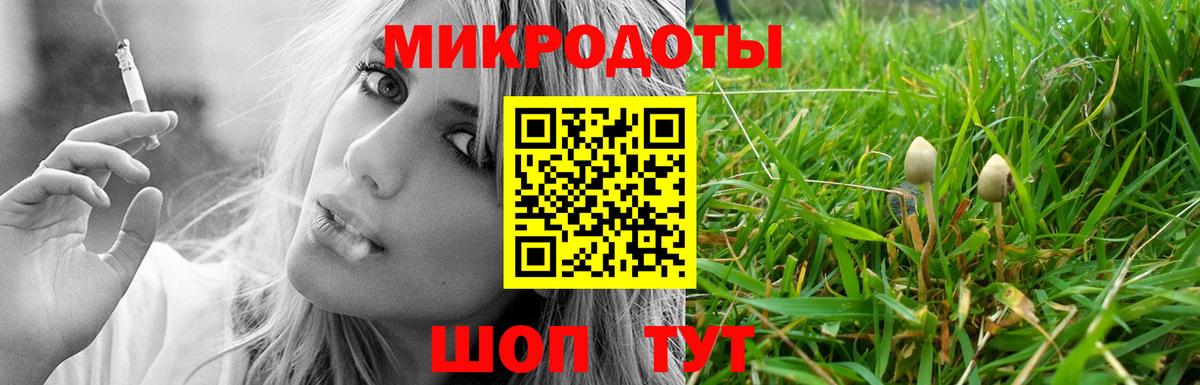 Псилоцибиновые грибы ЛСД Сегежа